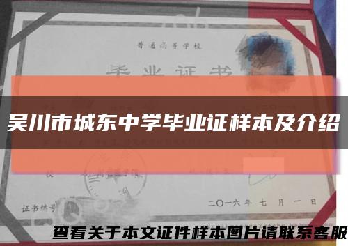 吴川市城东中学毕业证样本及介绍缩略图