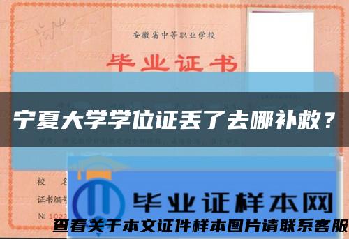 宁夏大学学位证丢了去哪补救？缩略图