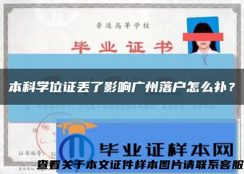 本科学位证丢了影响广州落户怎么补？缩略图