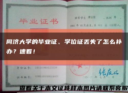 同济大学的毕业证、学位证丢失了怎么补办？速看！缩略图