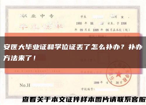 安医大毕业证和学位证丢了怎么补办？补办方法来了！缩略图
