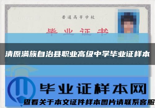 清原满族自治县职业高级中学毕业证样本缩略图