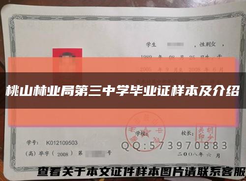桃山林业局第三中学毕业证样本及介绍缩略图