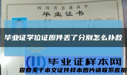 毕业证学位证原件丢了分别怎么补救缩略图