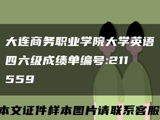 大连商务职业学院大学英语四六级成绩单编号:211559缩略图