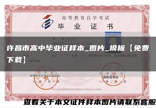 许昌市高中毕业证样本_图片_模板【免费下载】缩略图