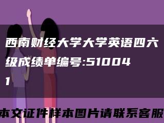 西南财经大学大学英语四六级成绩单编号:510041缩略图