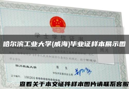 哈尔滨工业大学(威海)毕业证样本展示图缩略图