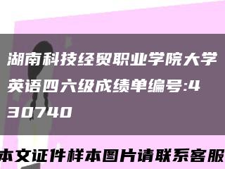湖南科技经贸职业学院大学英语四六级成绩单编号:430740缩略图