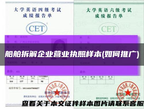 船舶拆解企业营业执照样本(如何推广)缩略图