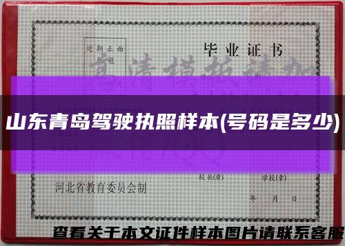 山东青岛驾驶执照样本(号码是多少)缩略图