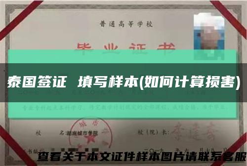 泰国签证 填写样本(如何计算损害)缩略图