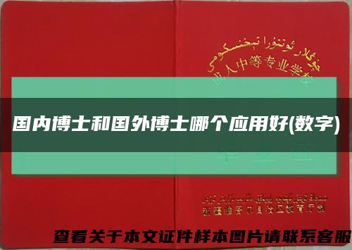 国内博士和国外博士哪个应用好(数字)缩略图