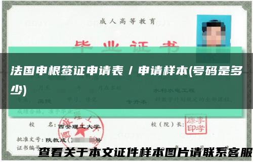 法国申根签证申请表／申请样本(号码是多少)缩略图