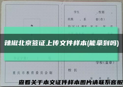 辣椒北京签证上传文件样本(能拿到吗)缩略图