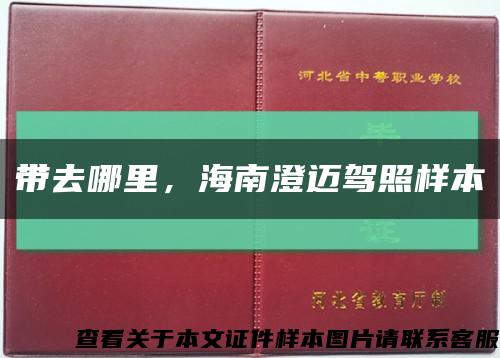 带去哪里，海南澄迈驾照样本缩略图
