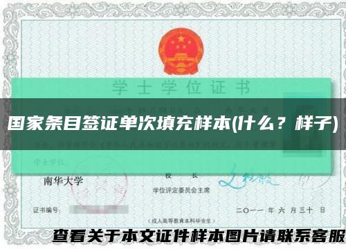 国家条目签证单次填充样本(什么？样子)缩略图