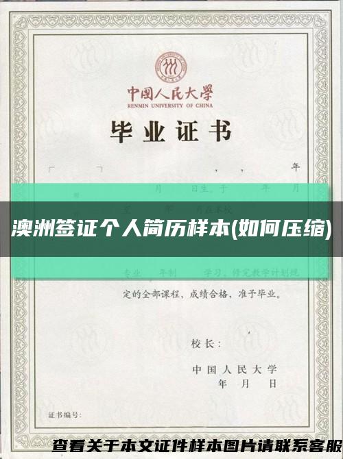 澳洲签证个人简历样本(如何压缩)缩略图