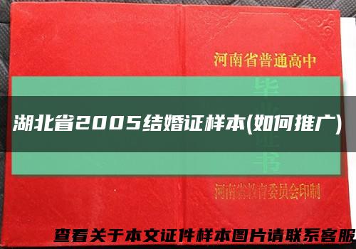 湖北省2005结婚证样本(如何推广)缩略图