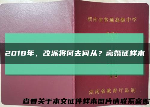2018年，改派将何去何从？离婚证样本缩略图