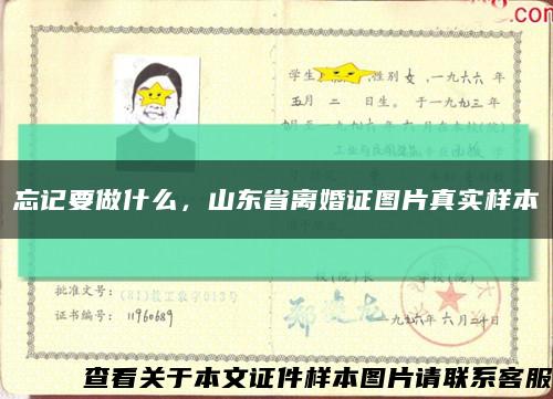 忘记要做什么，山东省离婚证图片真实样本缩略图
