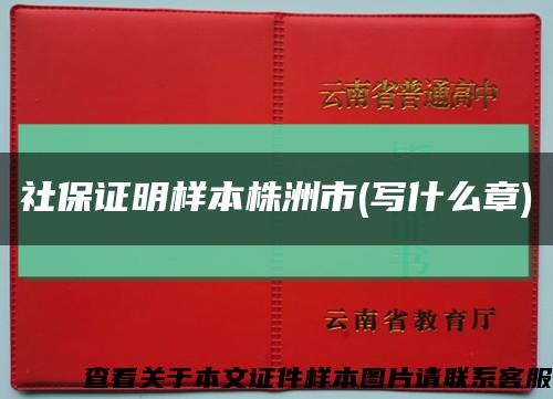 社保证明样本株洲市(写什么章)缩略图