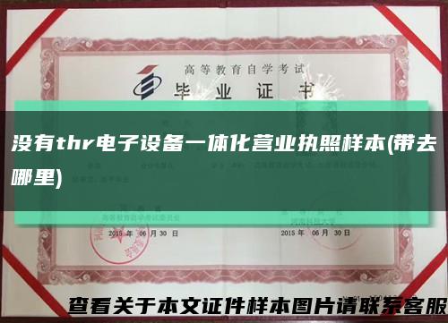 没有thr电子设备一体化营业执照样本(带去哪里)缩略图