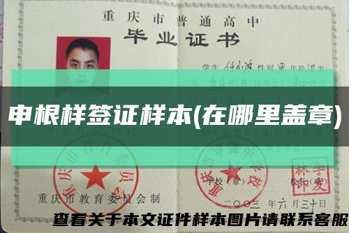 申根样签证样本(在哪里盖章)缩略图