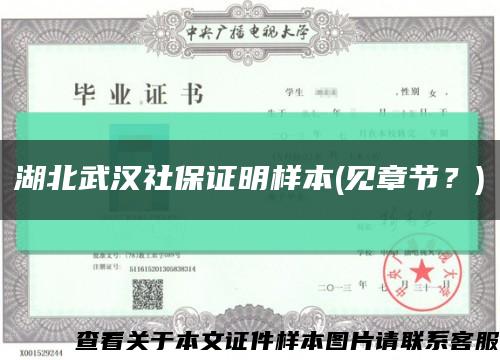 湖北武汉社保证明样本(见章节？)缩略图