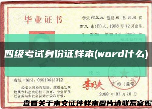 四级考试身份证样本(word什么)缩略图