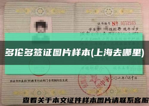 多伦多签证图片样本(上海去哪里)缩略图