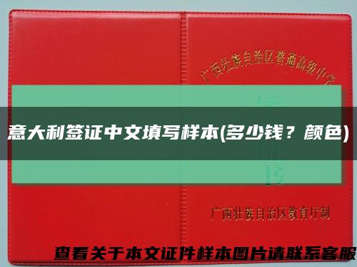 意大利签证中文填写样本(多少钱？颜色)缩略图
