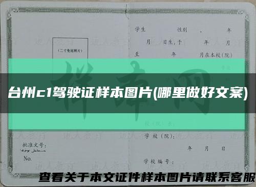 台州c1驾驶证样本图片(哪里做好文案)缩略图