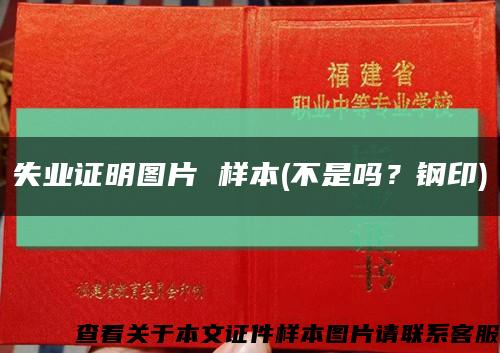 失业证明图片 样本(不是吗？钢印)缩略图