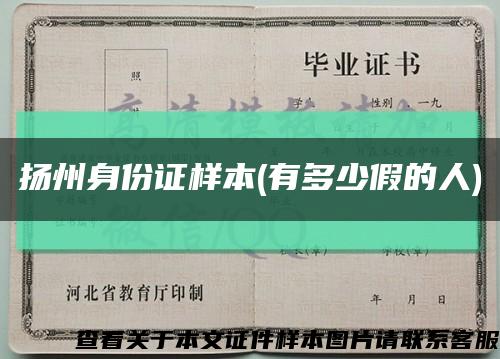 扬州身份证样本(有多少假的人)缩略图