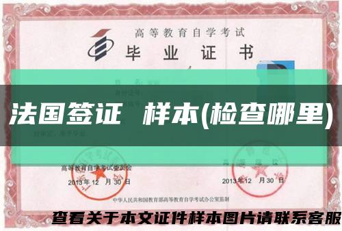 法国签证 样本(检查哪里)缩略图