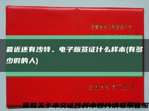 最近还有沙特。电子版签证什么样本(有多少假的人)缩略图