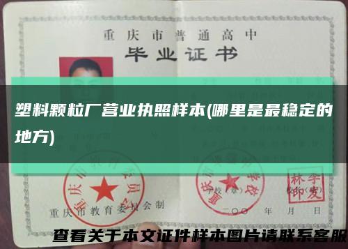 塑料颗粒厂营业执照样本(哪里是最稳定的地方)缩略图