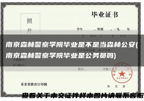 南京森林警察学院毕业是不是当森林公安(南京森林警察学院毕业是公务员吗)缩略图