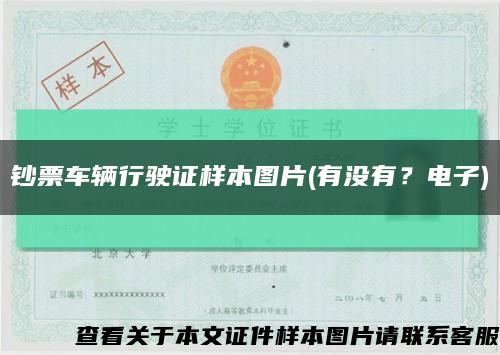 钞票车辆行驶证样本图片(有没有？电子)缩略图