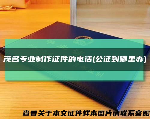 茂名专业制作证件的电话(公证到哪里办)缩略图