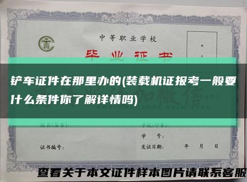 铲车证件在那里办的(装载机证报考一般要什么条件你了解详情吗)缩略图