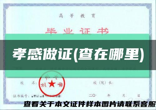 孝感做证(查在哪里)缩略图