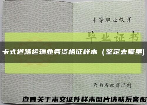 卡式道路运输业务资格证样本（鉴定去哪里)缩略图