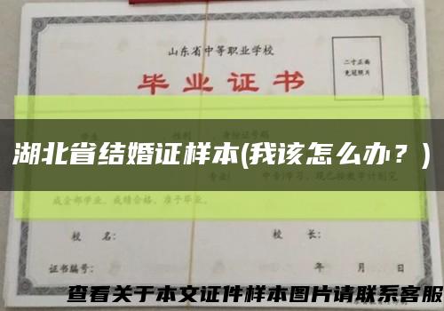 湖北省结婚证样本(我该怎么办？)缩略图