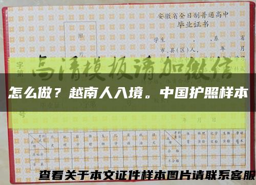 怎么做？越南人入境。中国护照样本缩略图