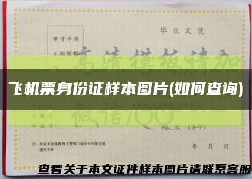 飞机票身份证样本图片(如何查询)缩略图