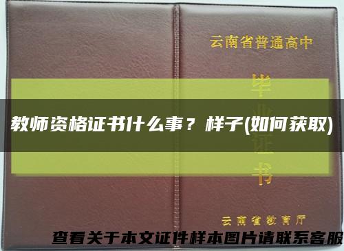 教师资格证书什么事？样子(如何获取)缩略图