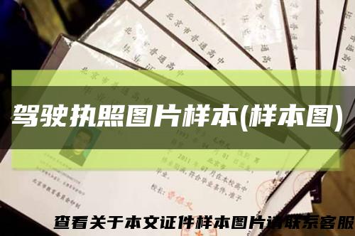 驾驶执照图片样本(样本图)缩略图