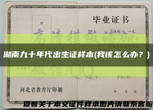 湖南九十年代出生证样本(我该怎么办？)缩略图